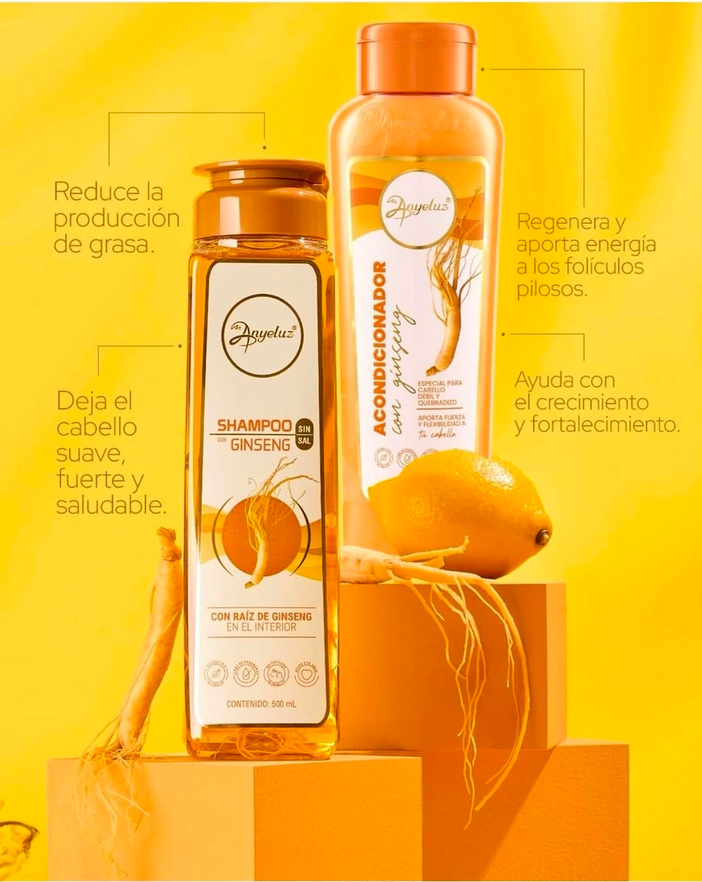 KIT DÚO GINSENG Anyeluz